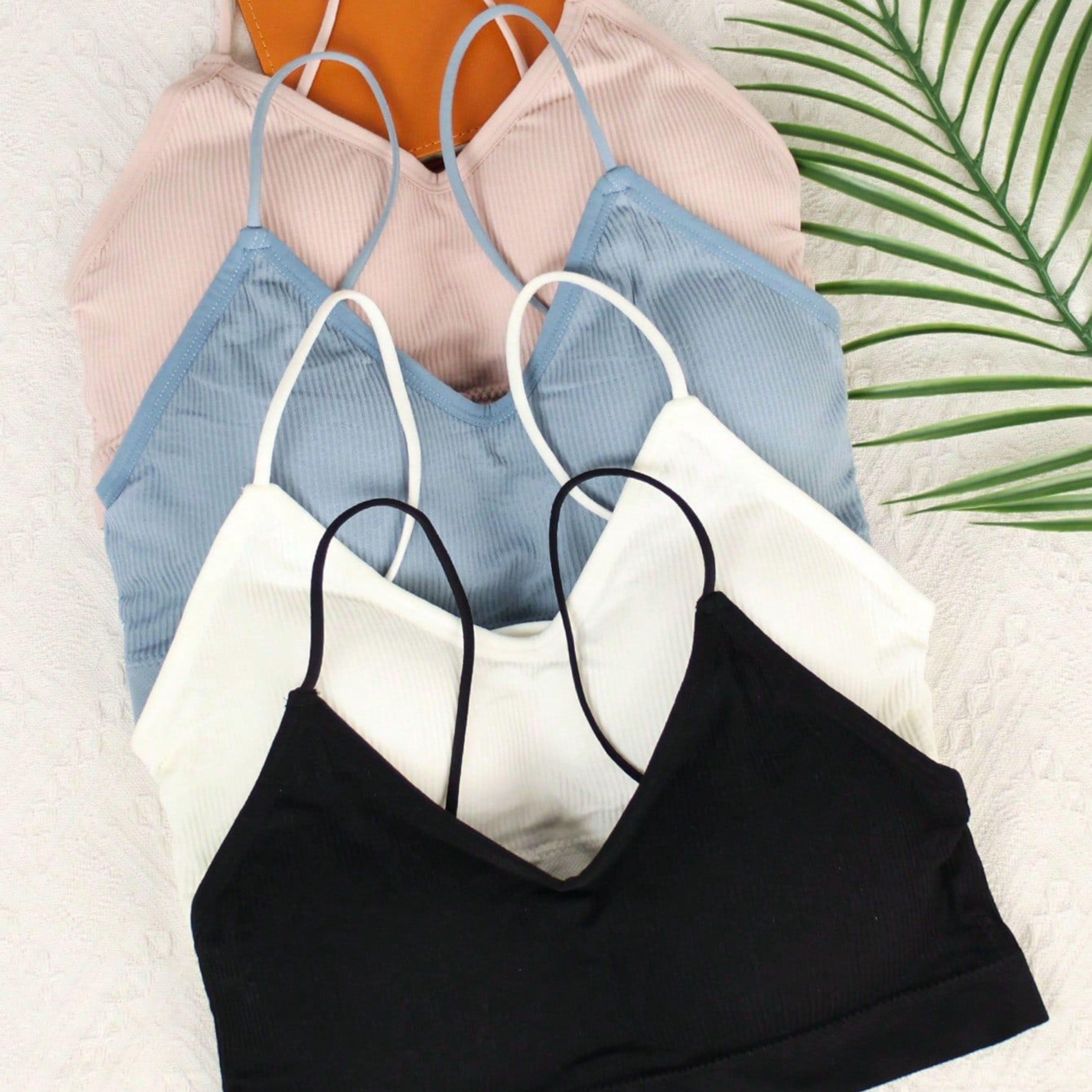 Top deportivo morley